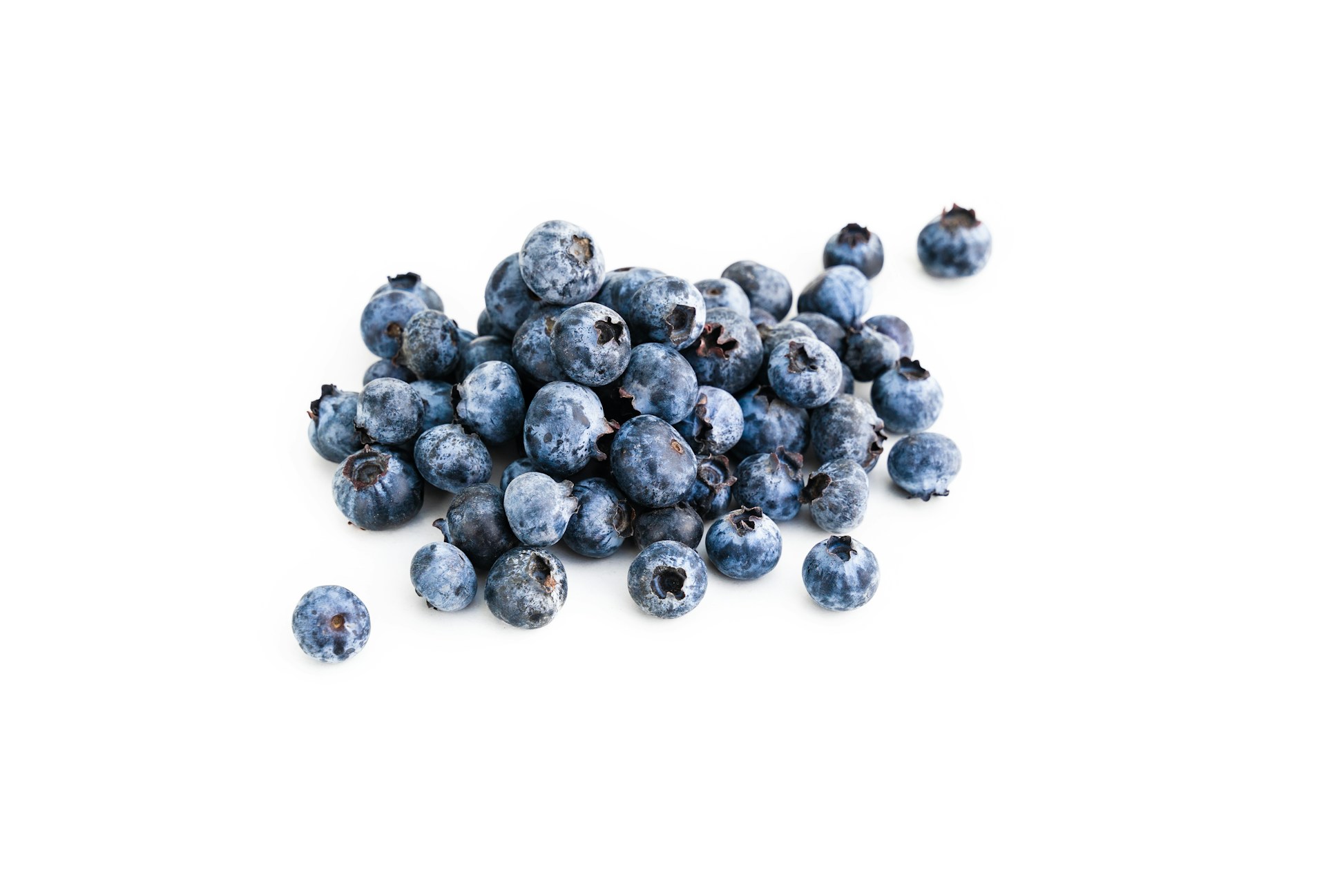 boruvky-blueberry